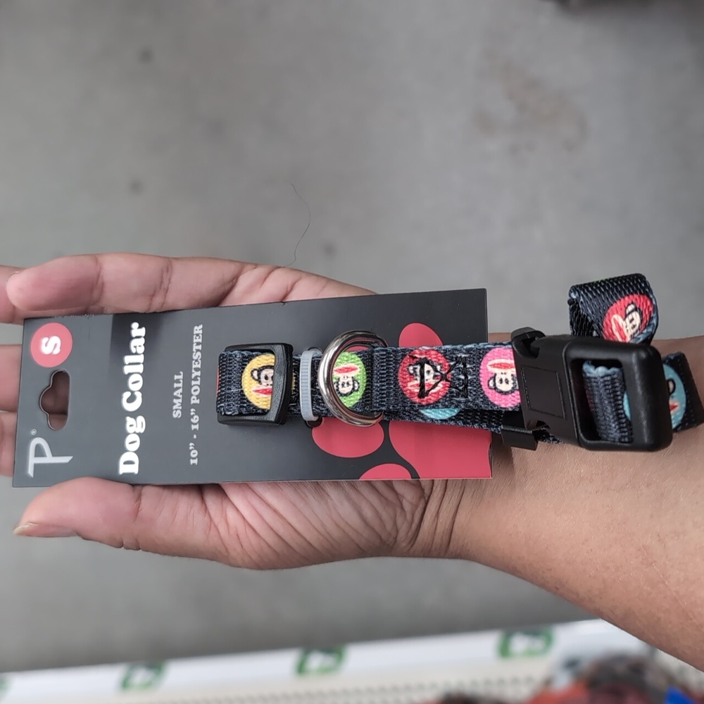 Paul Frank Dog Collar